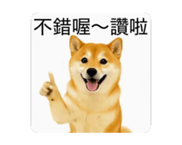 821167772
