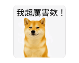 821167773