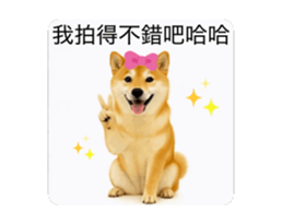821167774