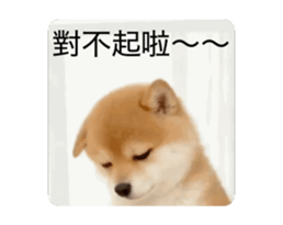 821167775