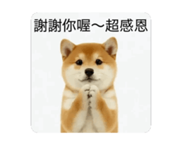 821167777