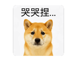 821167780