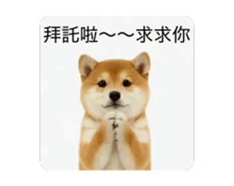 821167782