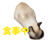821168589