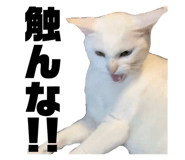 821177121