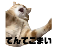 821177125