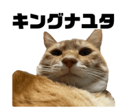 821177126