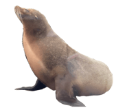 821177128