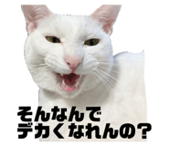 821177135