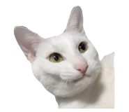 821177136