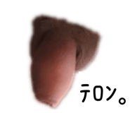 821204286