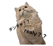 821205305