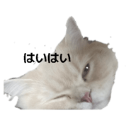 821205307