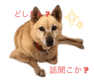 821209942