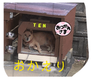 821209967