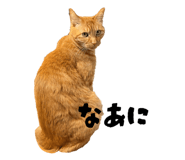 821210089