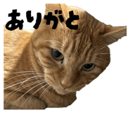 821210095