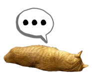 821210097