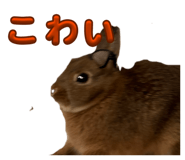821212392
