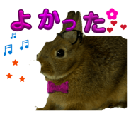 821212402