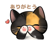 821231620