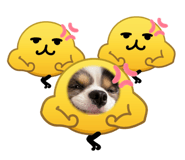 821237012