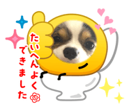 821237017