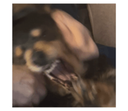 821237523