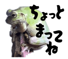 821238937