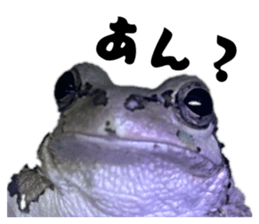 821238942