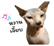 821251222
