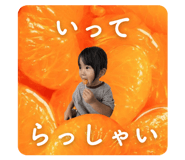821253341