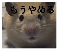 821265356