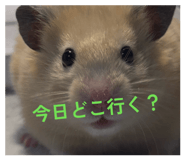 821265359
