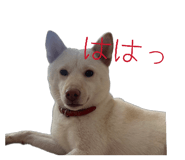 821279955