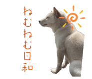 821279956