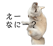 821279969