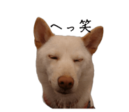 821279970