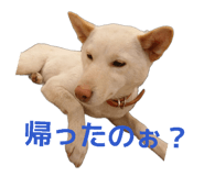 821279971