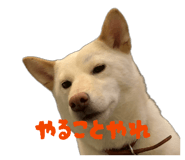 821279974