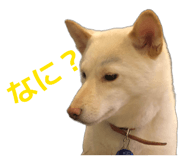 821279975