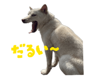 821279976