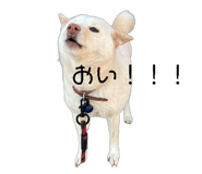 821279977