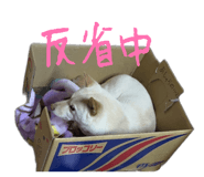 821279983