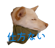 821279984