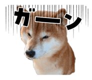 821282882