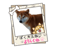 821282886