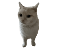 821287603