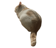 821287604