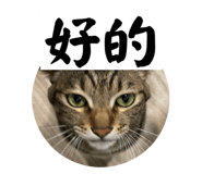 821288224